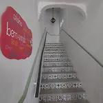 Aloha Hostel